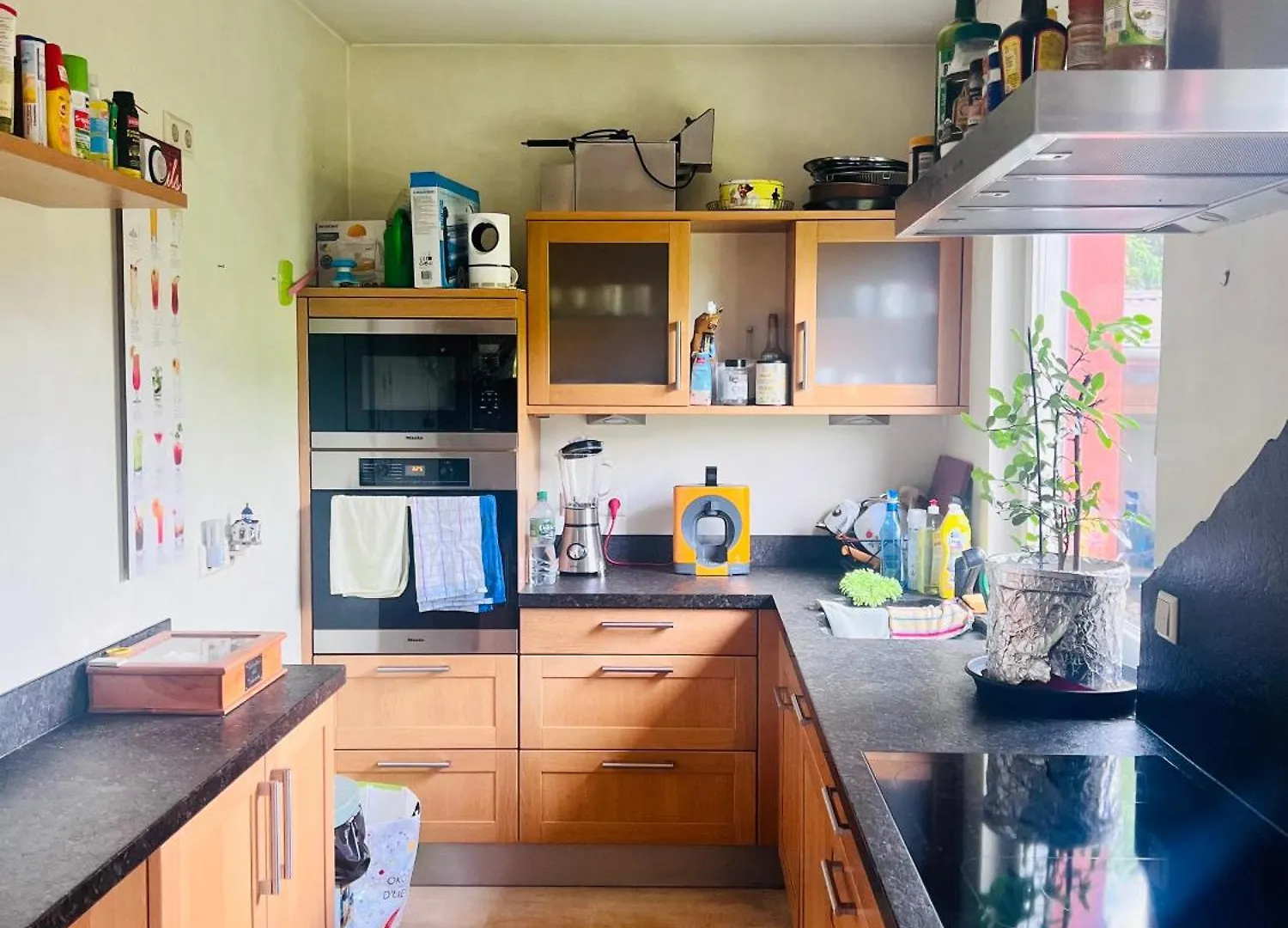 Alloggio in famiglia Appartamento Nice And Cozy House Frisange